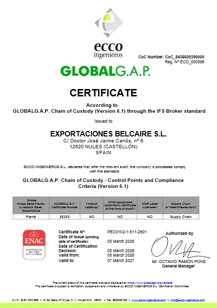 GLOBALG.A.P. Chain of Custody վկայական, Exportaciones Belcaire S.L.